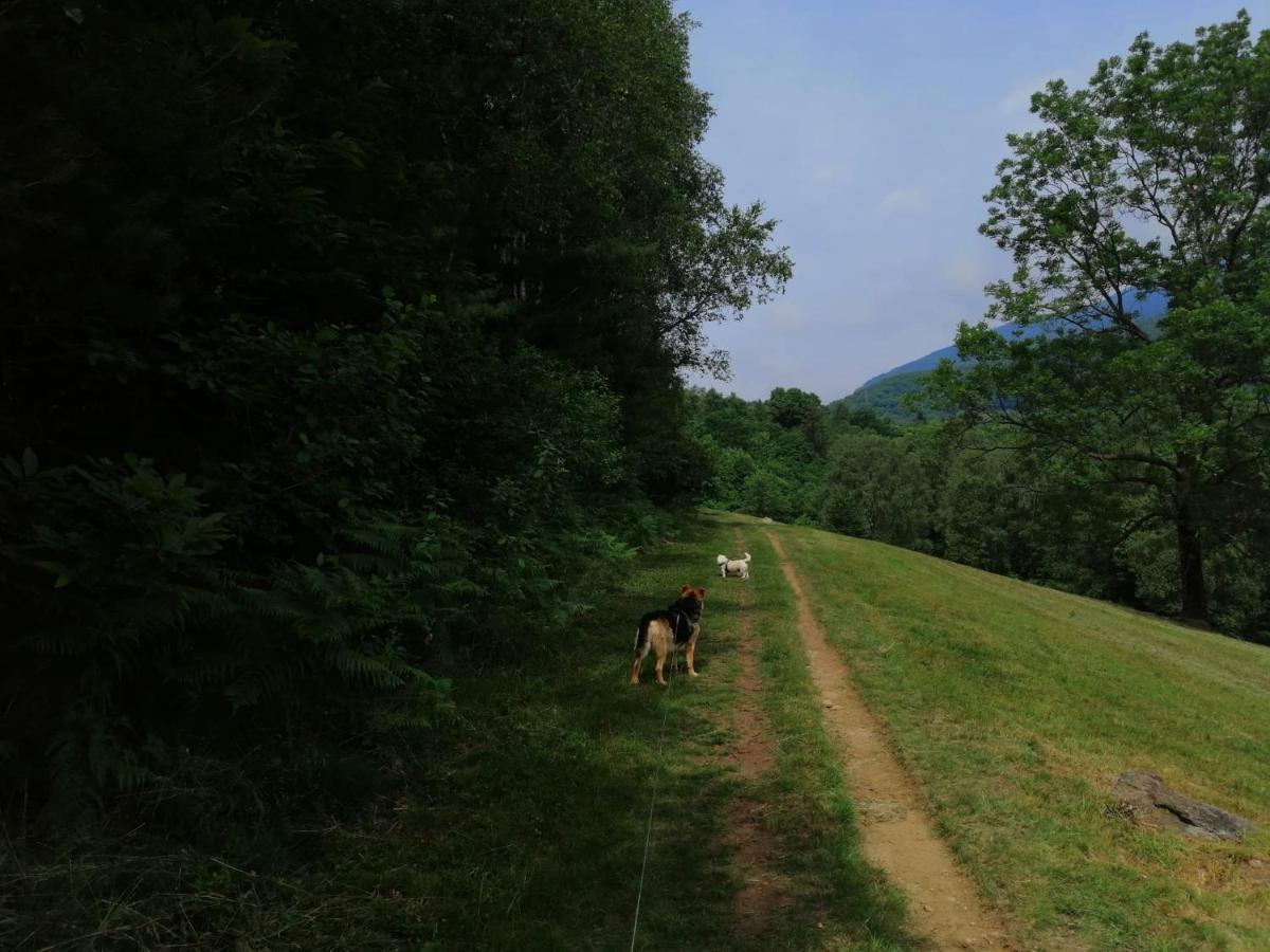 Beatamente B&B Olistico Torrazzo Luaran gambar