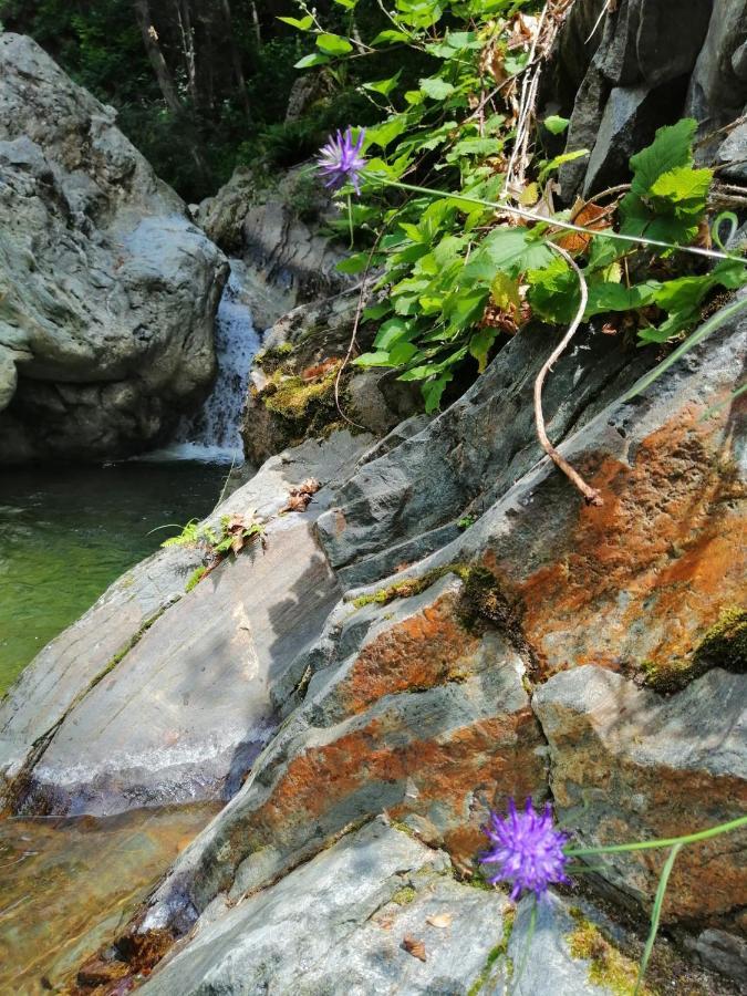 Beatamente B&B Olistico Torrazzo Luaran gambar